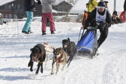 Lenk 2012 SM